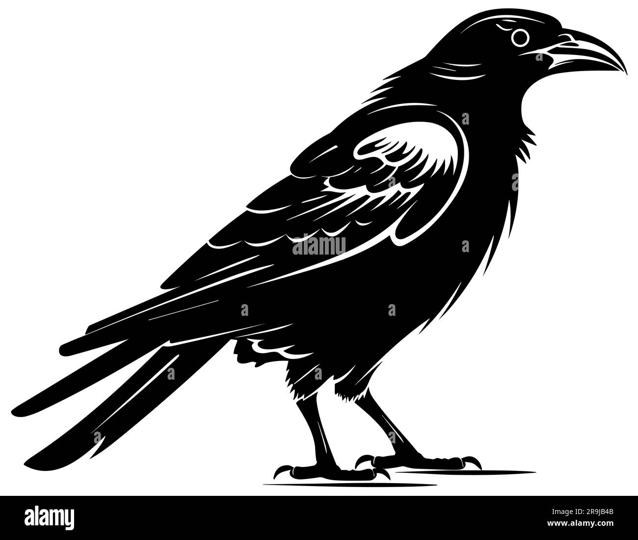 Black bird omen hi-res stock photography and images - Alamy