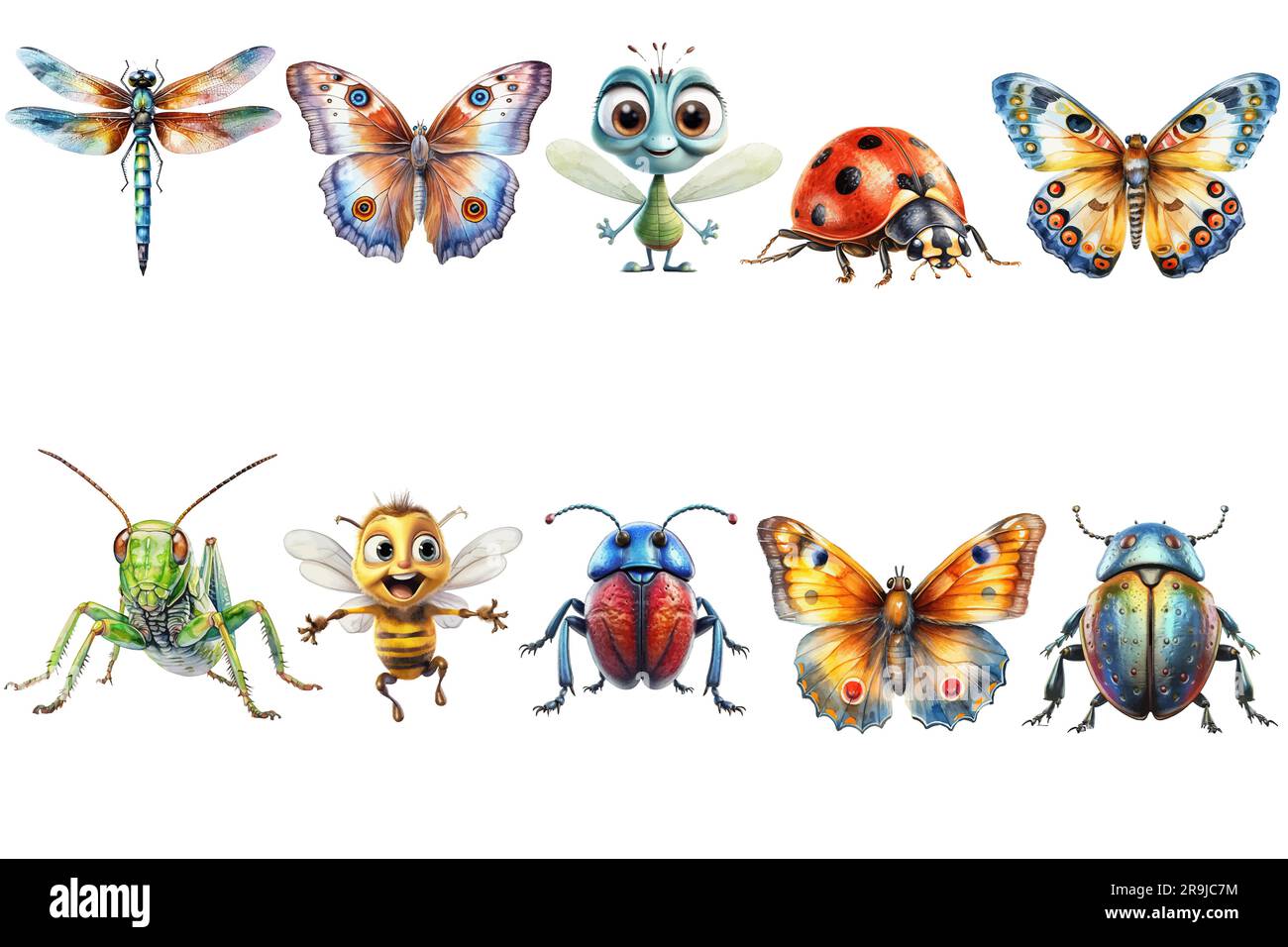 Illustration of many different types of insects. Isolated flat vector