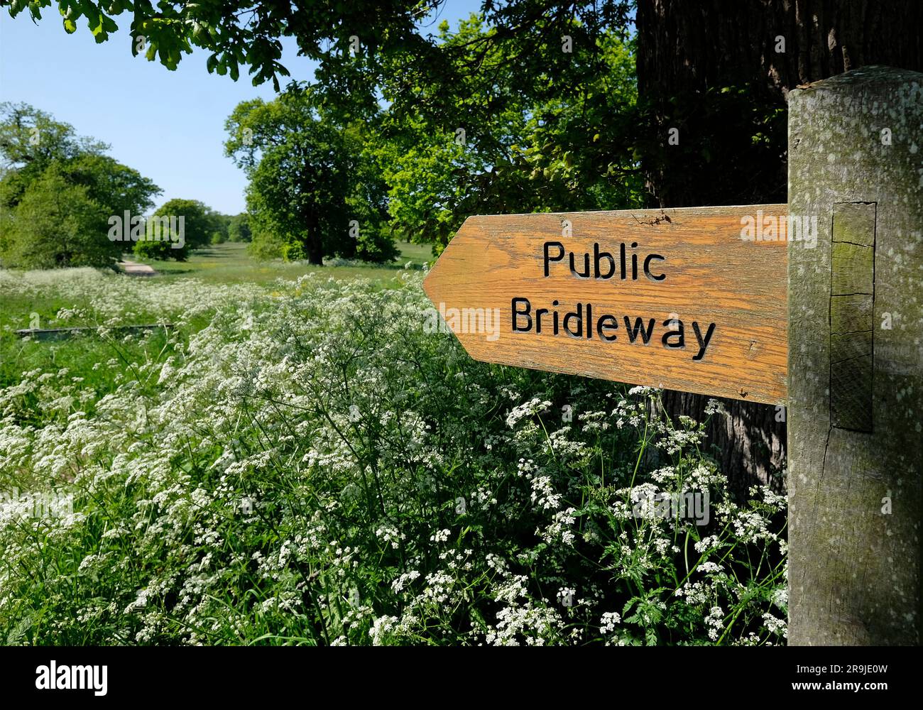 public bridleway sign, blickling park, norfolk, england Stock Photo Alamy
