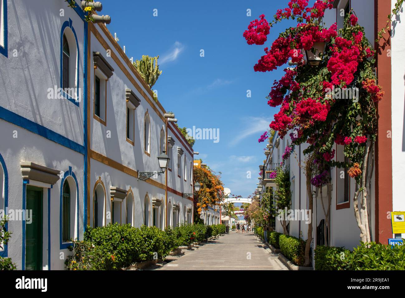 Street of Puerto de Mogán with its white houses with the frames of ...