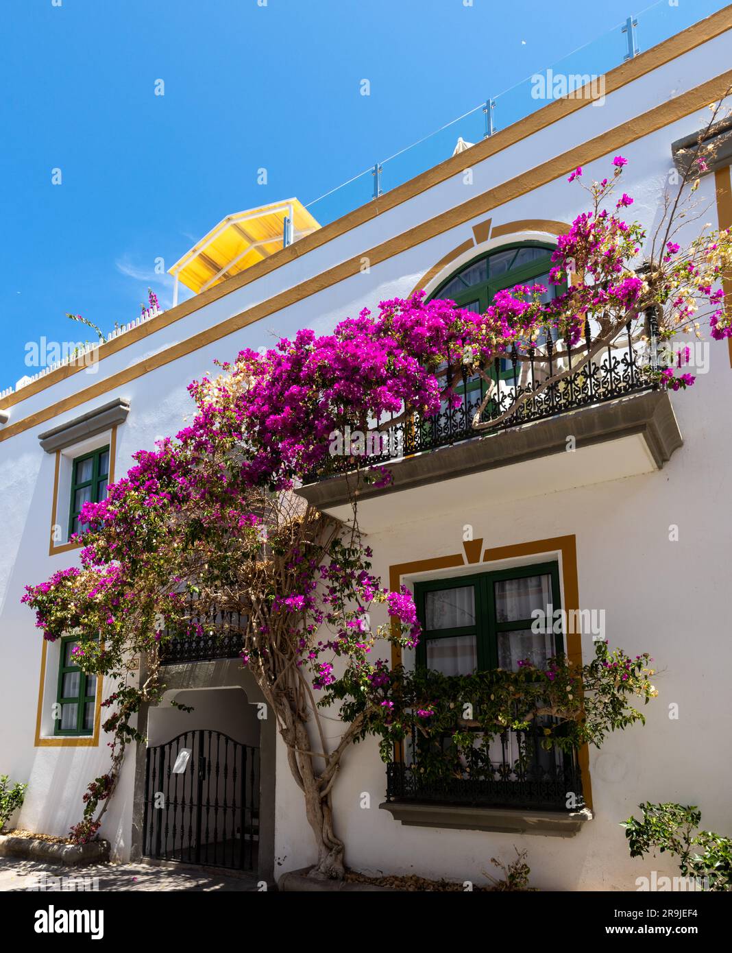 Detalle de ventanas y puertas enmarcadas en vivos colores y múltiples plantas en Puerto de Mogán. Pueblo con encanto, Gran Canaria, España Stock Photo