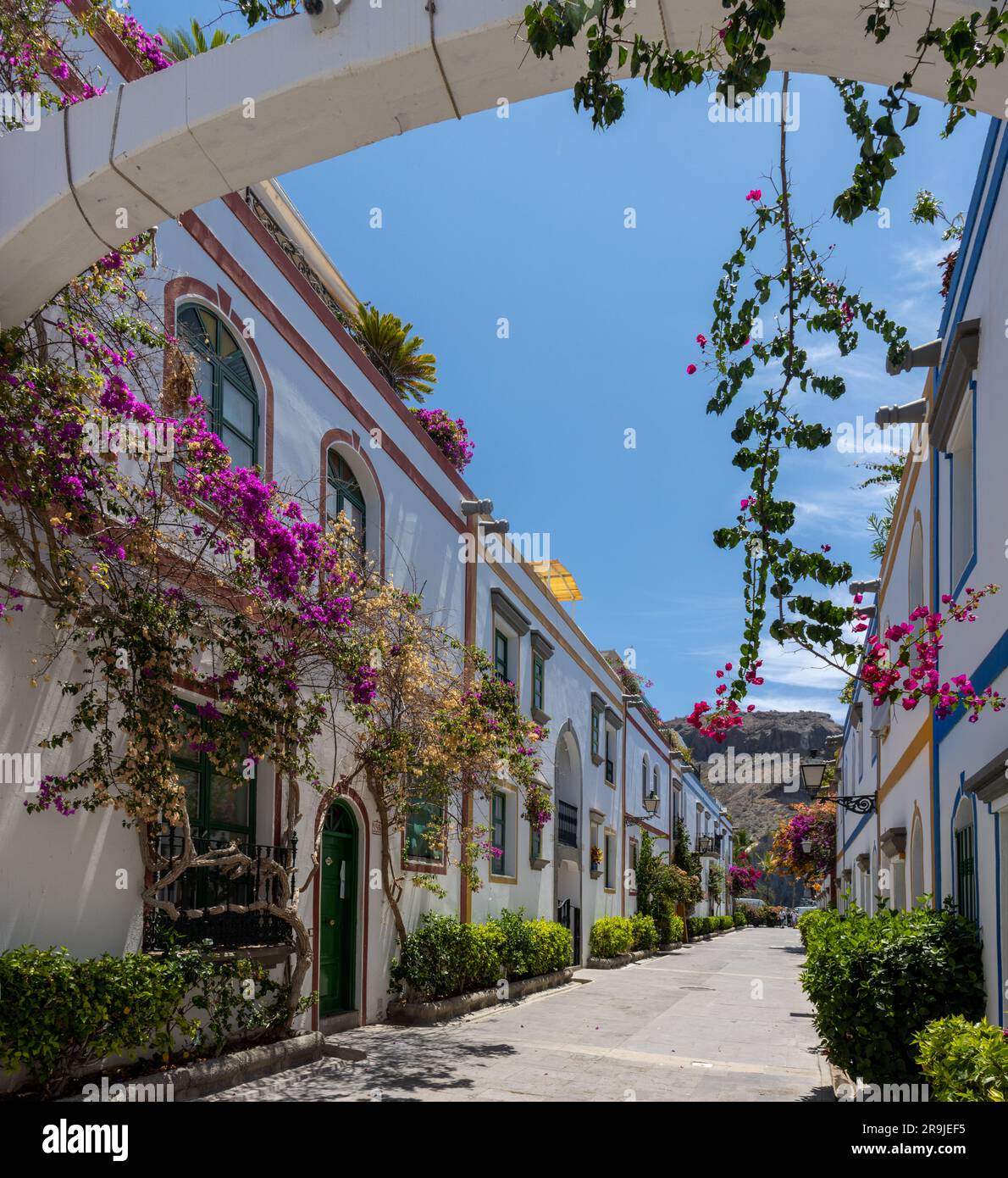 Street of Puerto de Mogán with its white houses with the frames of ...