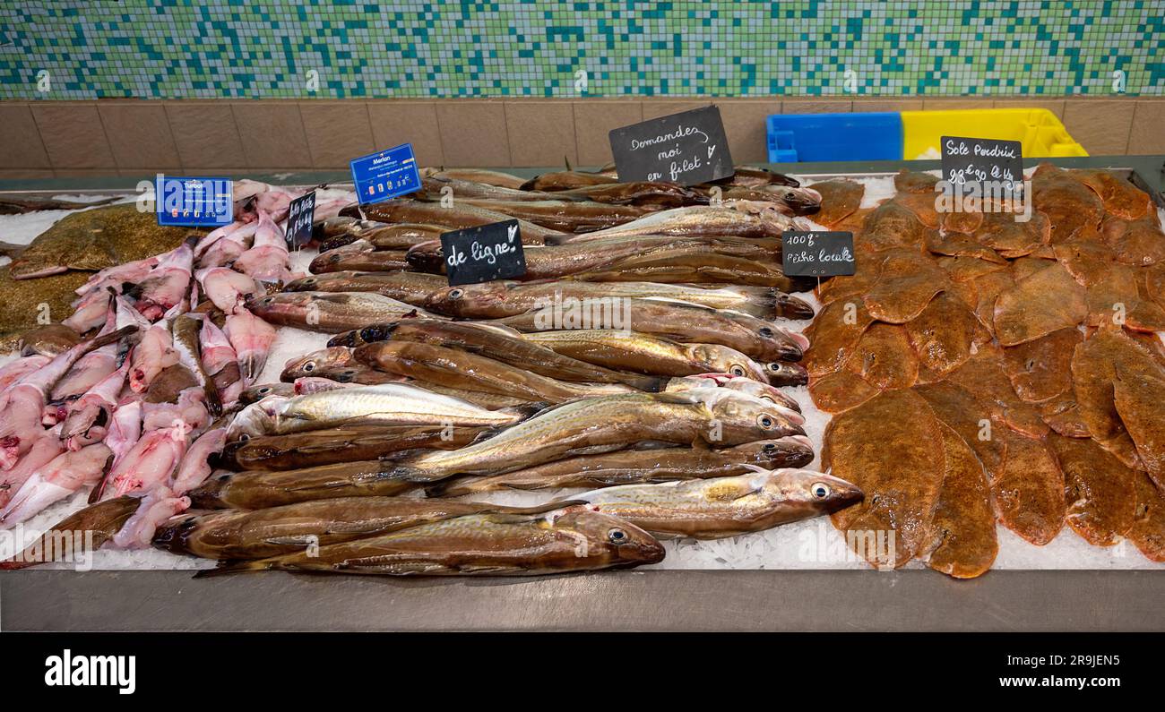 different fishes from the atlantic ocean on the shop counter of a stall in a market hall at Vannes in Brittany, France Stock Photo