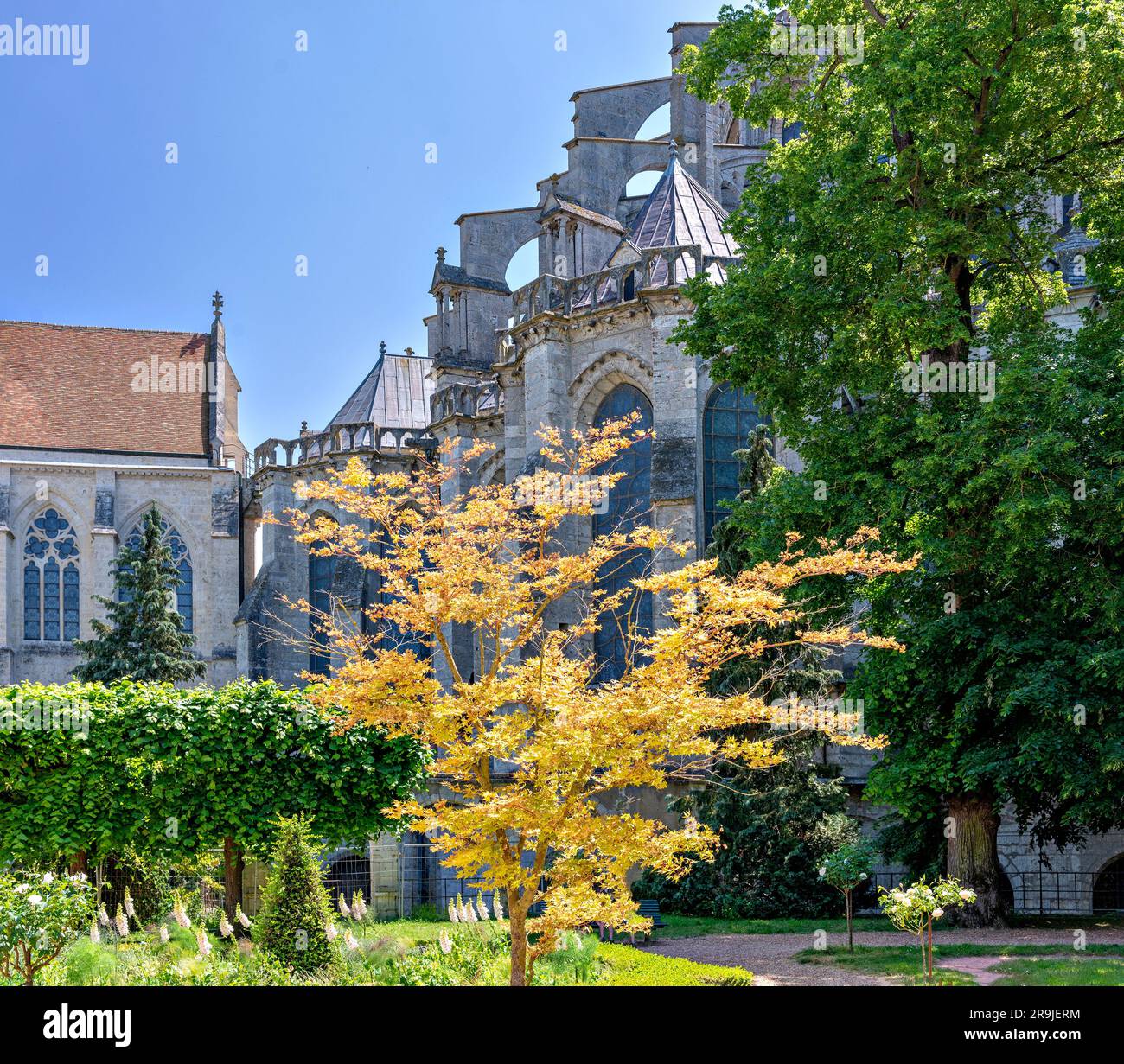gardens at the gothic cathedrale Notre-Dame in Chartres in the Region Centre-Val de Loire, France Stock Photo
