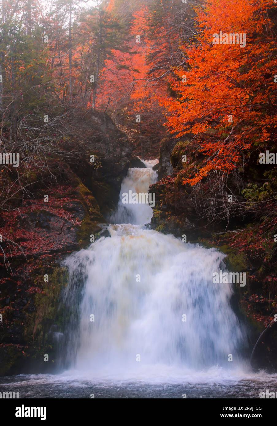 Gairloch Falls, Cape Breton, NOVA SCOTIA, CANADA. Close up of high waterfall in autumn season. Autumn forest landscape. Autumn waterfalls Stock Photo