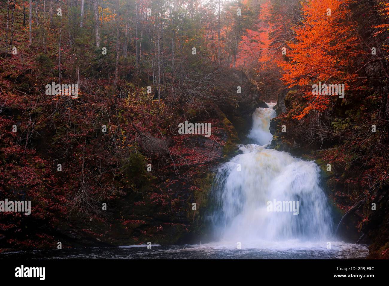 Gairloch Falls, Cape Breton, NOVA SCOTIA, CANADA. Close up of high waterfall in autumn season. Autumn forest landscape. Autumn waterfalls Stock Photo