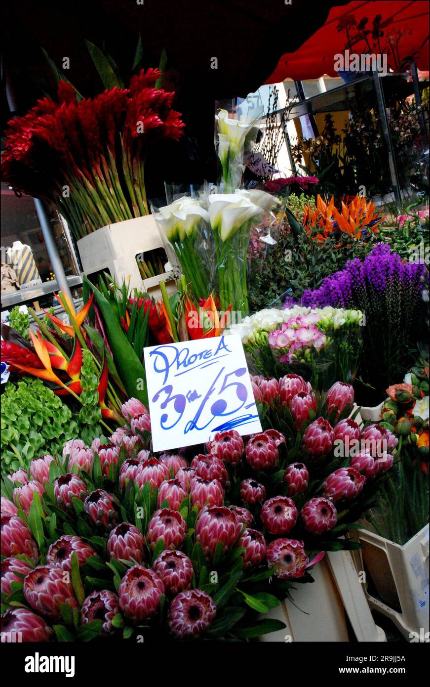 Columbia Road Flower Market, London, England UK Stock Photo Alamy