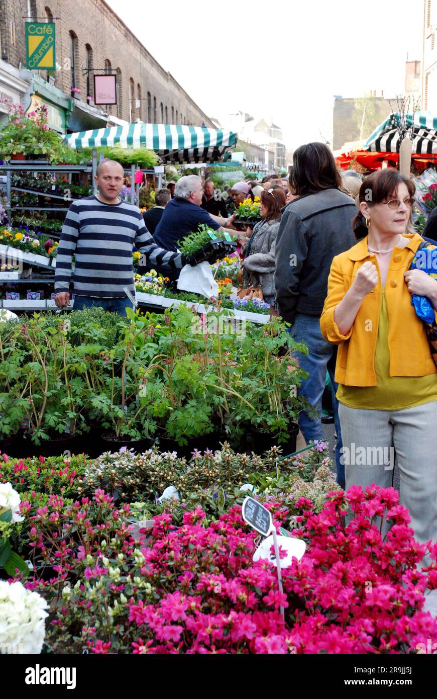 Columbia Road Flower Market, London, England UK Stock Photo Alamy
