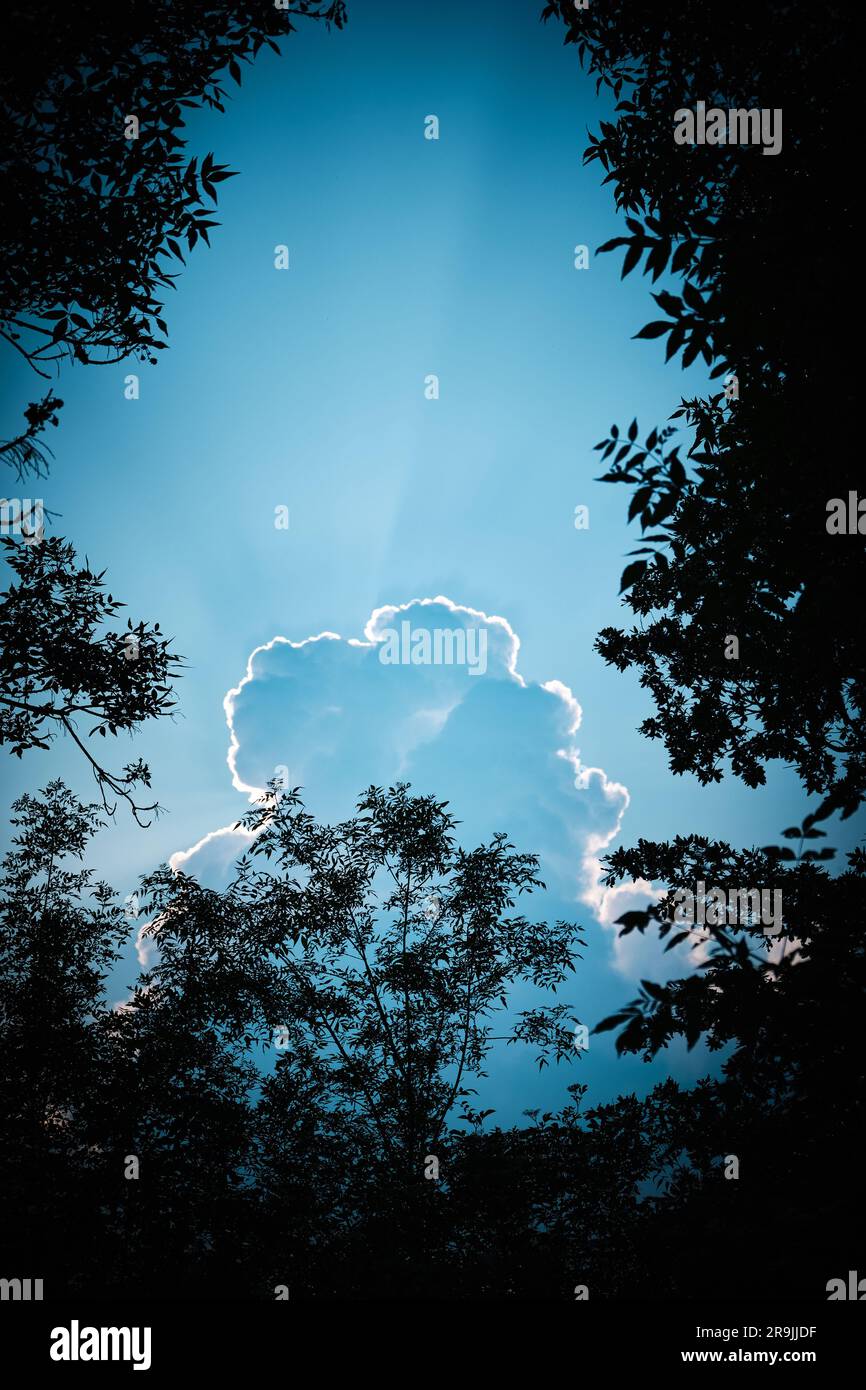 Dramatic sky with cloud and light rays, framed by trees Stock Photo