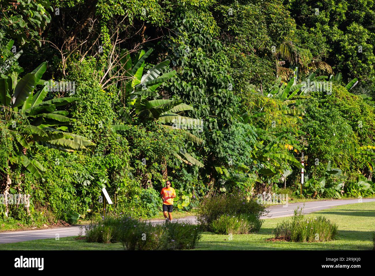 A fit man is conducting his personal run in an outdoor greenery