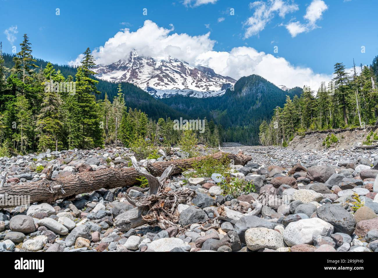 A view of riverbed rocks and Mount Rainier in Washington State Stock ...