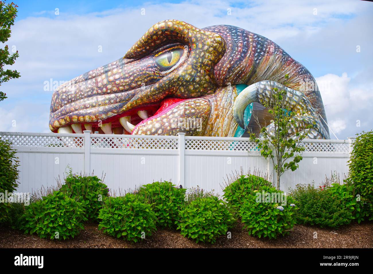 A monster coming over the fence at a Cape Cod inflatable park. Stock Photo