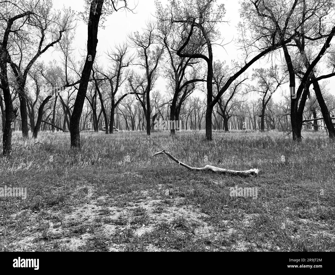 The North Unit Campground at Theodore Roosevelt National Park in North