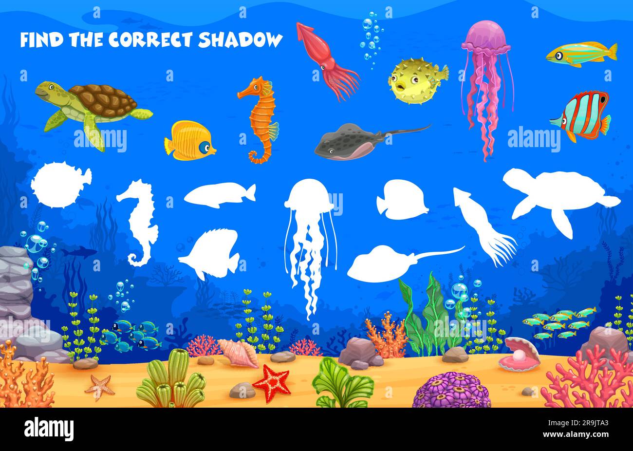 Find correct shadow of cartoon sea underwater animals and fish, vector