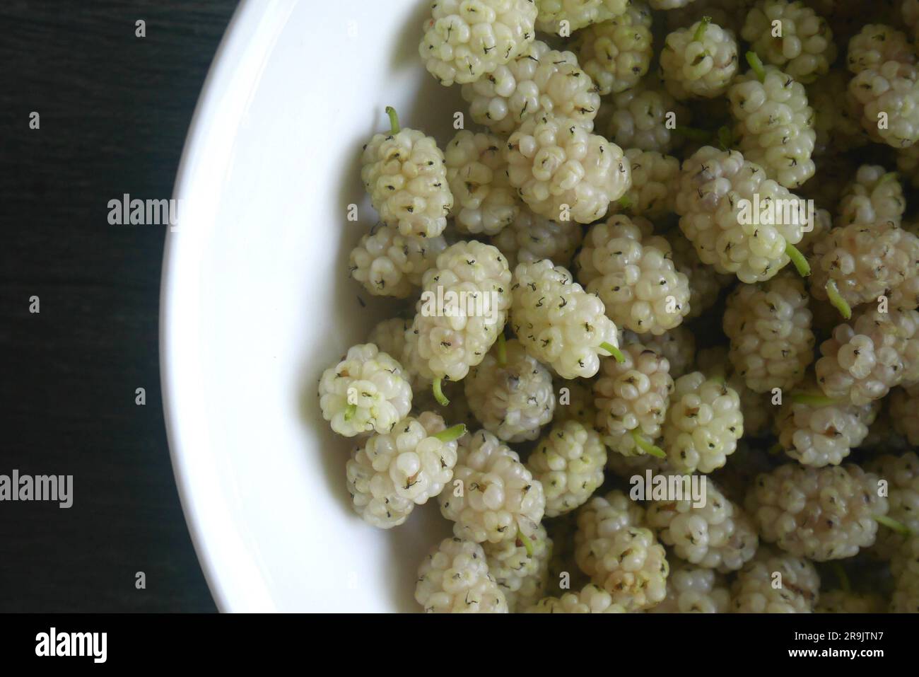 White mulberries, Morus Alba, in a white bowl on a table Stock Photo
