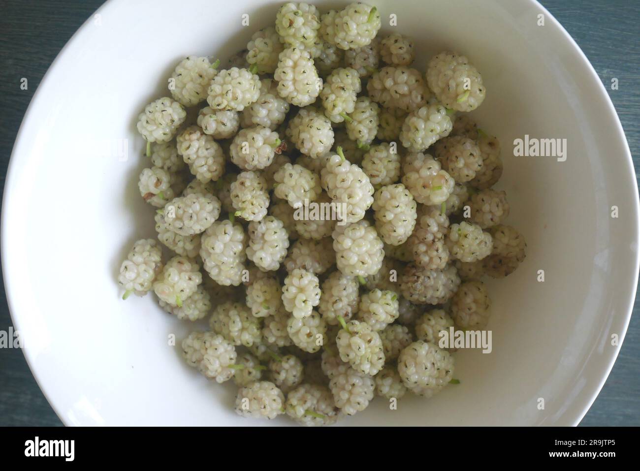 White mulberries, Morus Alba, in a white bowl on a table Stock Photo