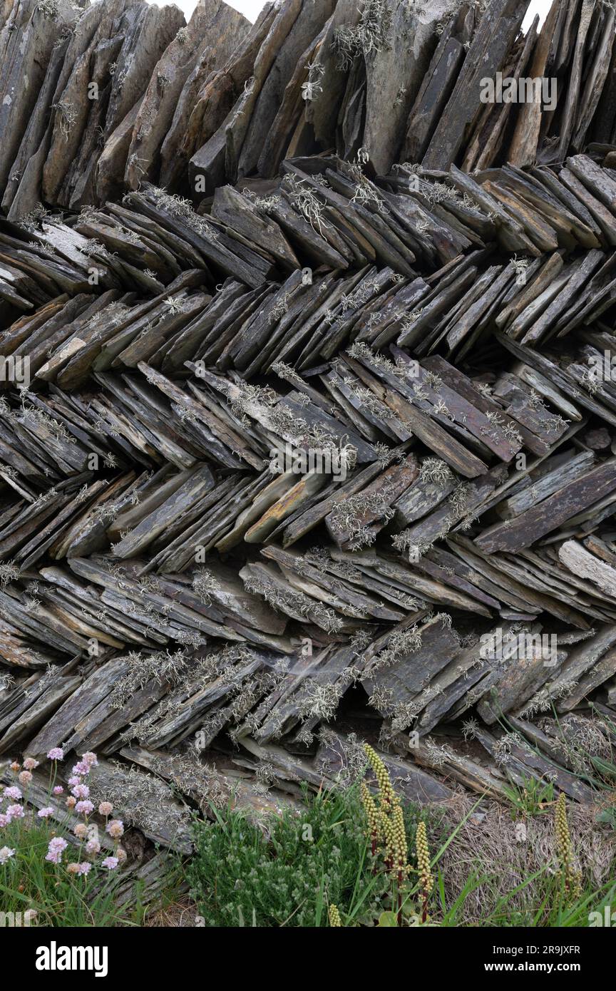 Traditional 'herringbone' patterm drystone wall, north Cornwall, UK Stock Photo