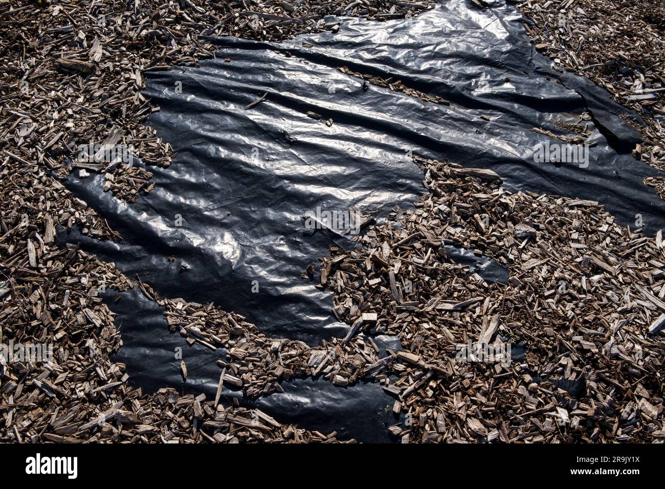 Landscaping woodchips covering black plastic tarpaulin. Stock Photo