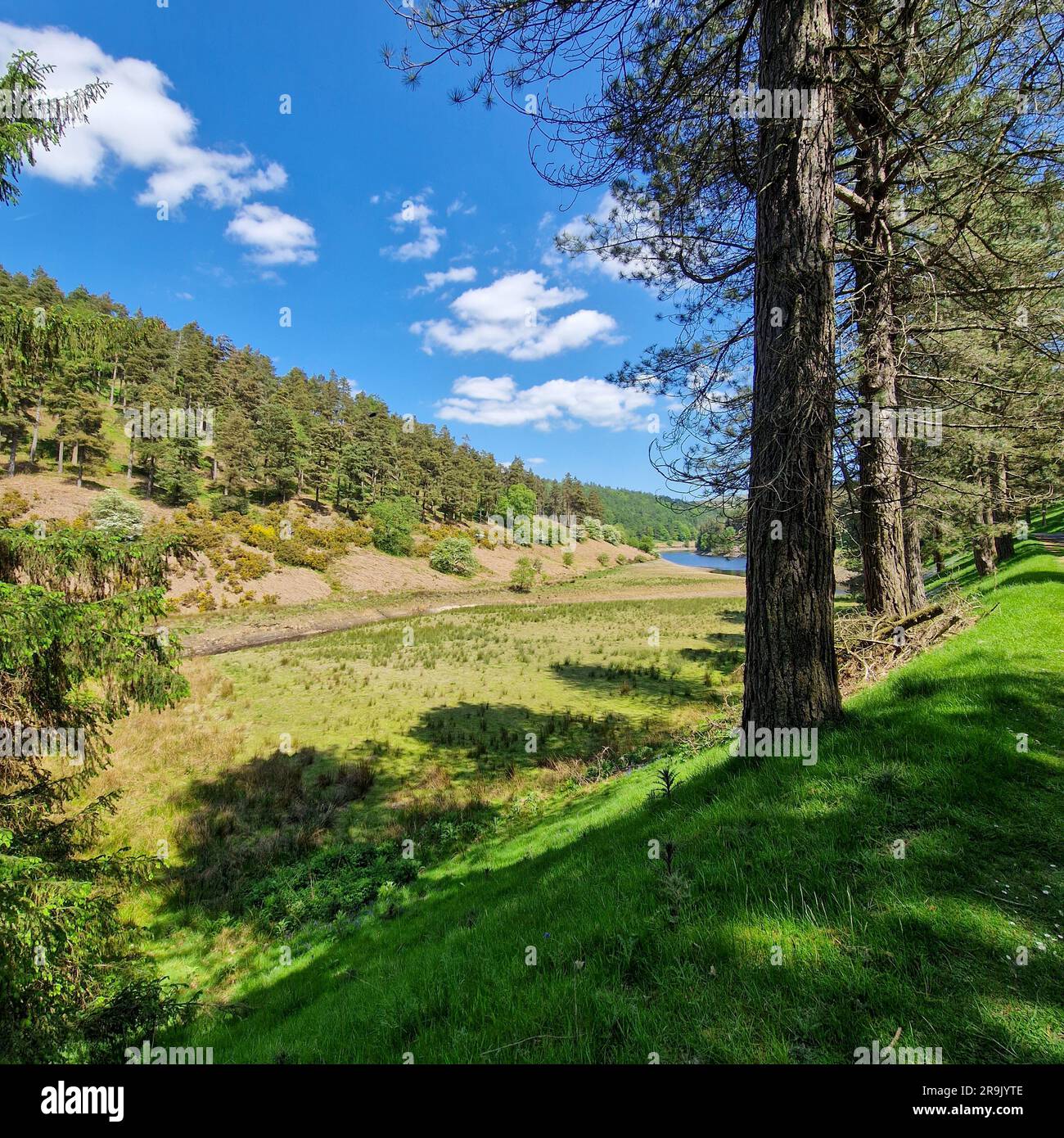 Nestled amidst the picturesque landscapes of the United Kingdom 