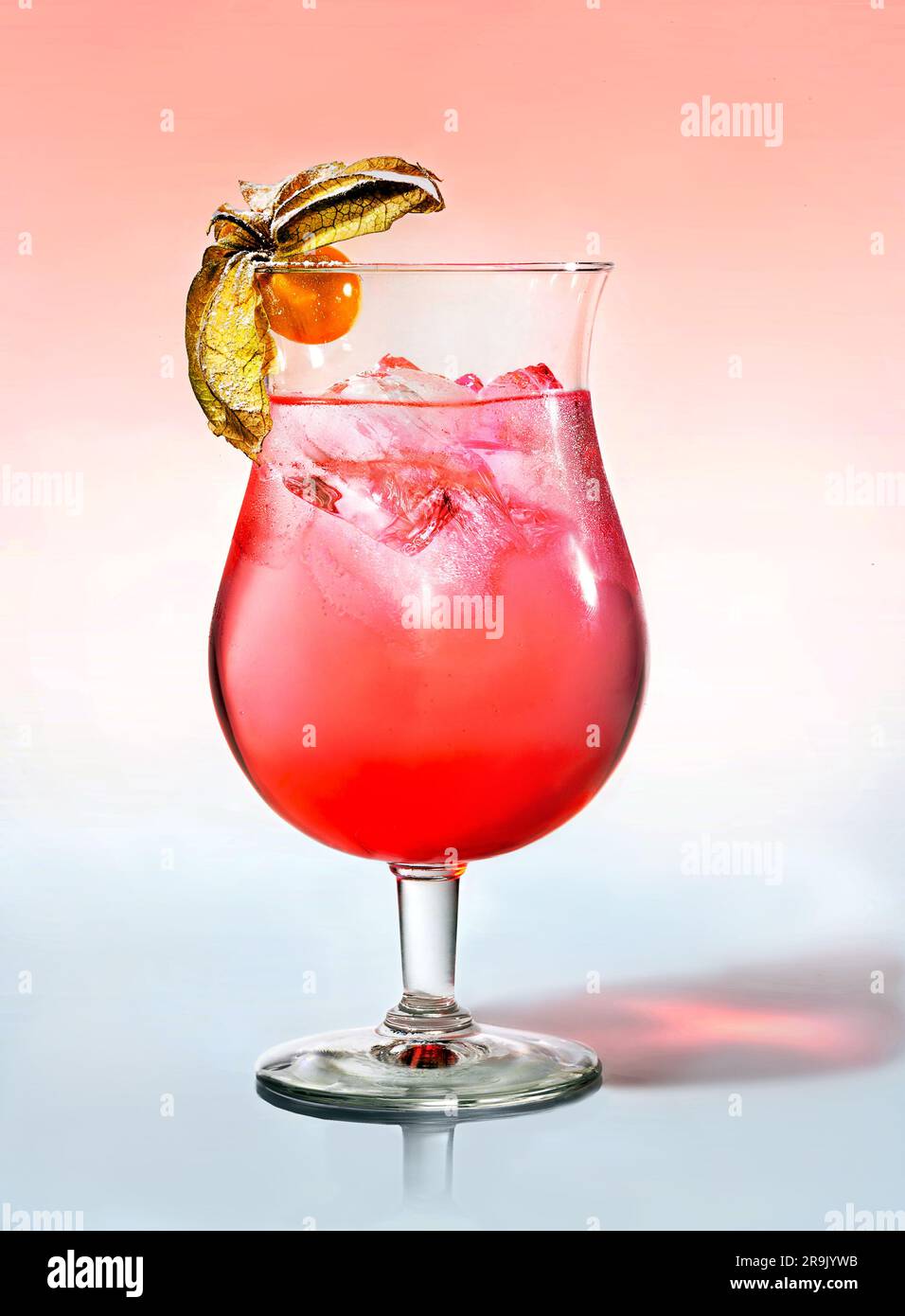 Refreshment cocktail with ice and physalis berry with sugar powder on pink background Stock Photo