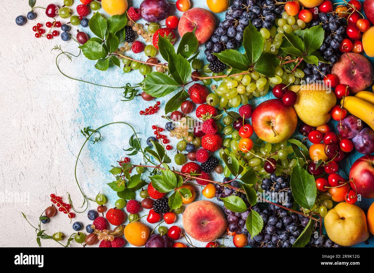 Curated visual reference: View Involving Still Life Reference: Still Life Of Various Fruits And Berries Top View Stock