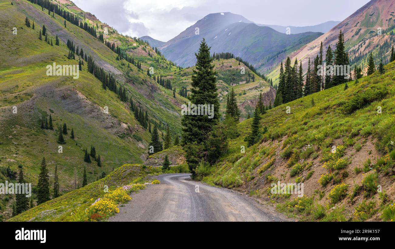 Canyon Road - A narrow back-country road winding in a steep canyon on a stormy Summer day. Crested Butte, Colorado, USA. Stock Photo
