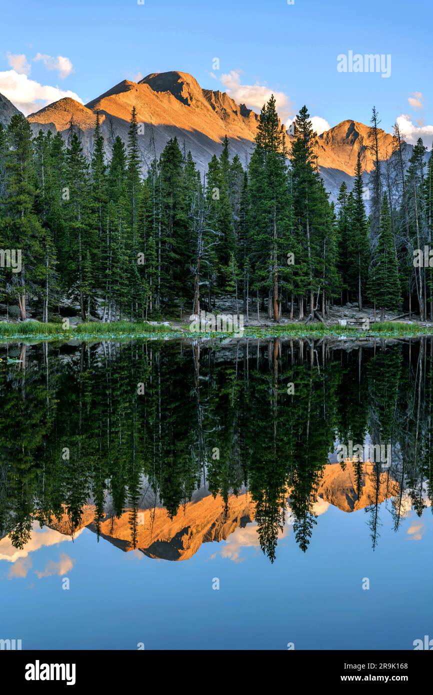 Longs Peak at Nymph Lake - Vertical - Majestic Longs Peak, with golden sunset light shining on its top, reflected in blue Nymph Lake. RMNP, CO, USA. Stock Photo