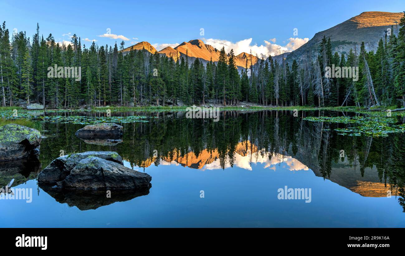 Longs Peak at Nymph Lake - A panorama of majestic Longs Peak, with golden sunset light shining on its top, reflected in blue Nymph Lake. RMNP, CO, USA. Stock Photo