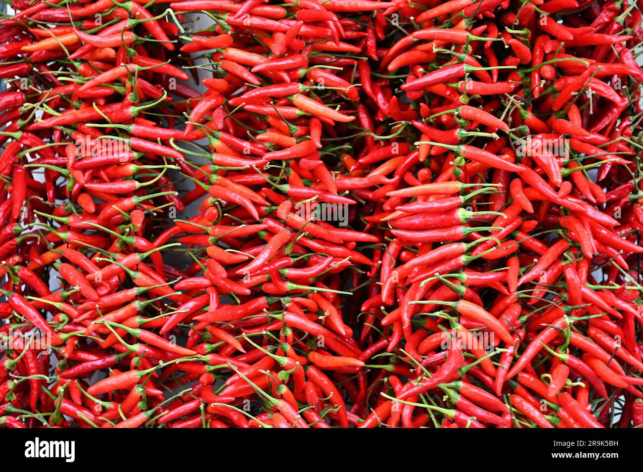 Red peppers, Palma de Mallorca, Spain Stock Photo