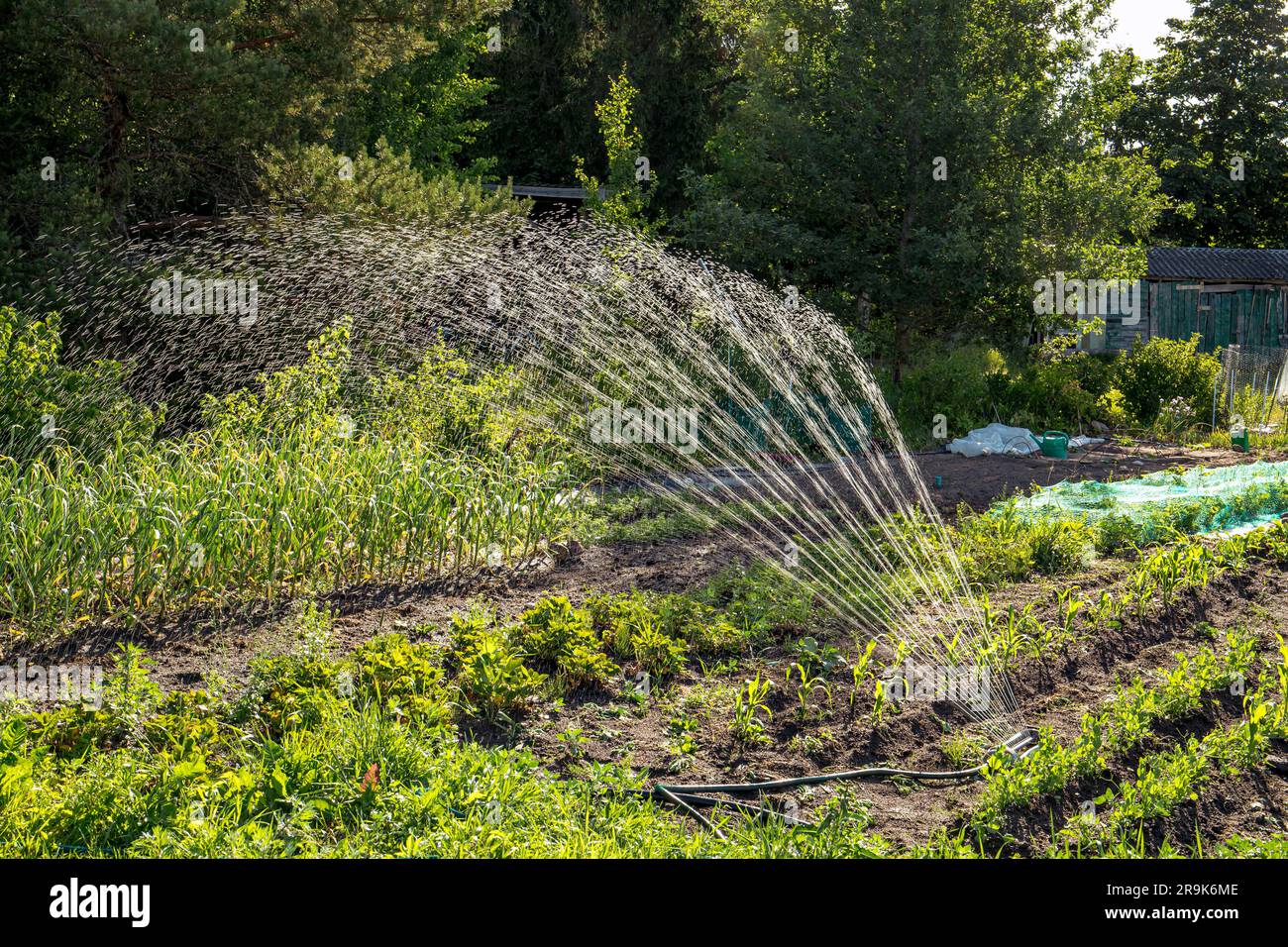 Rain imitation spinning water irrigation system in home domestic