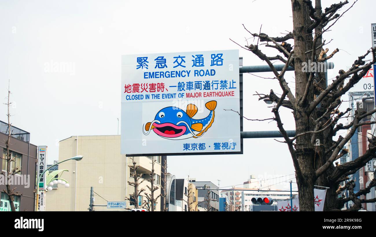Japan earthquake safety