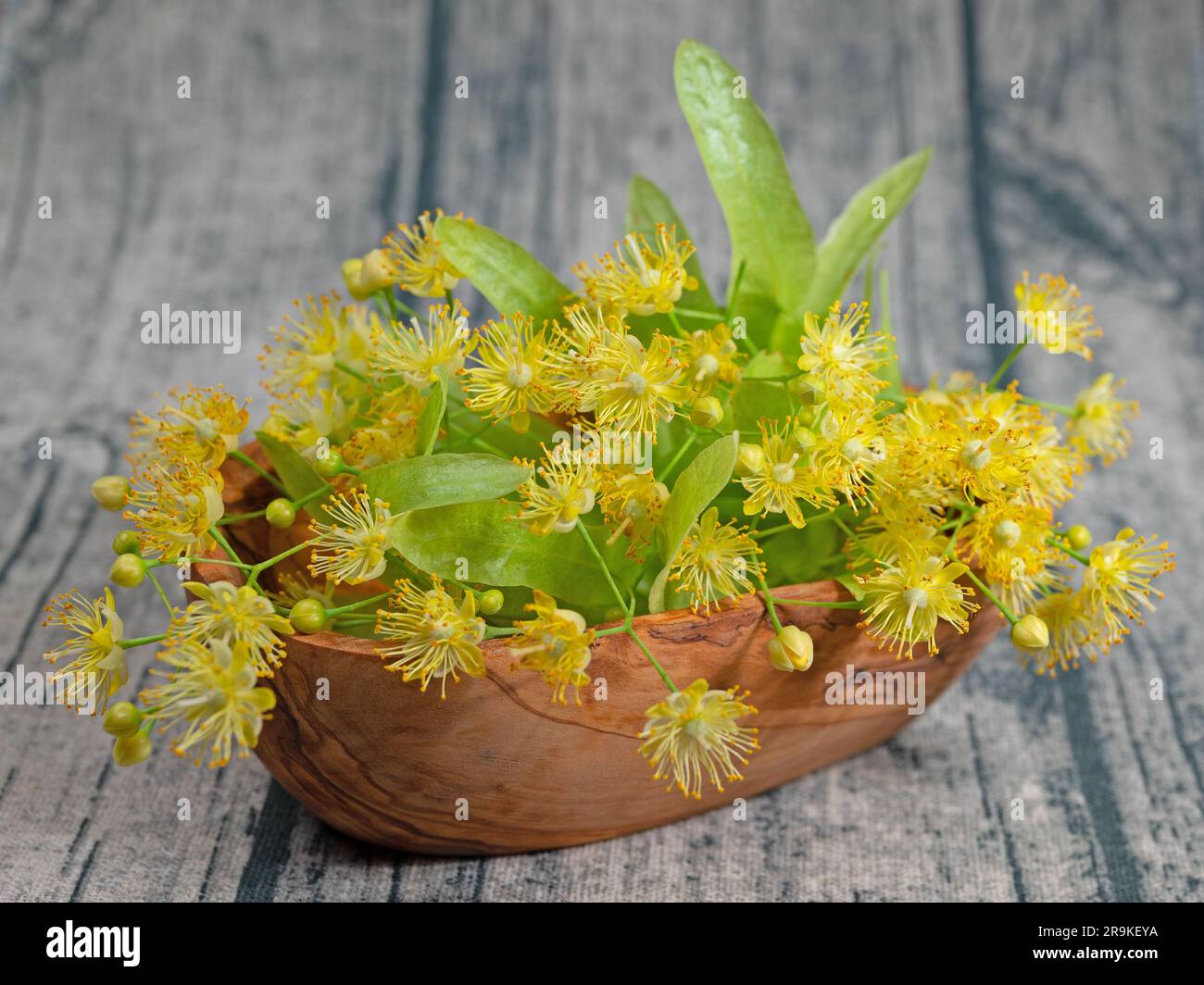 Linden blossoms in a wooden bowl Stock Photo
