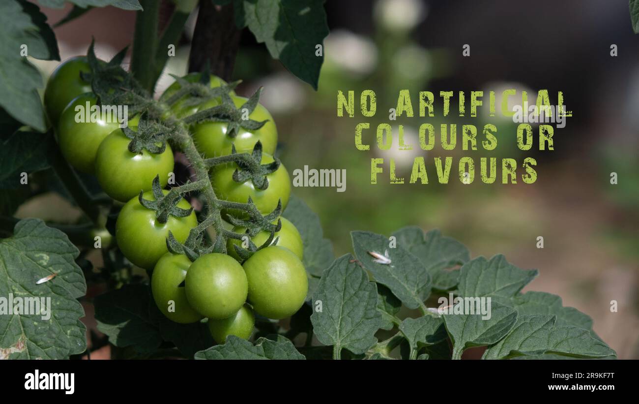 No artificial colors or flavors sentence. Fresh fruits and vegetables