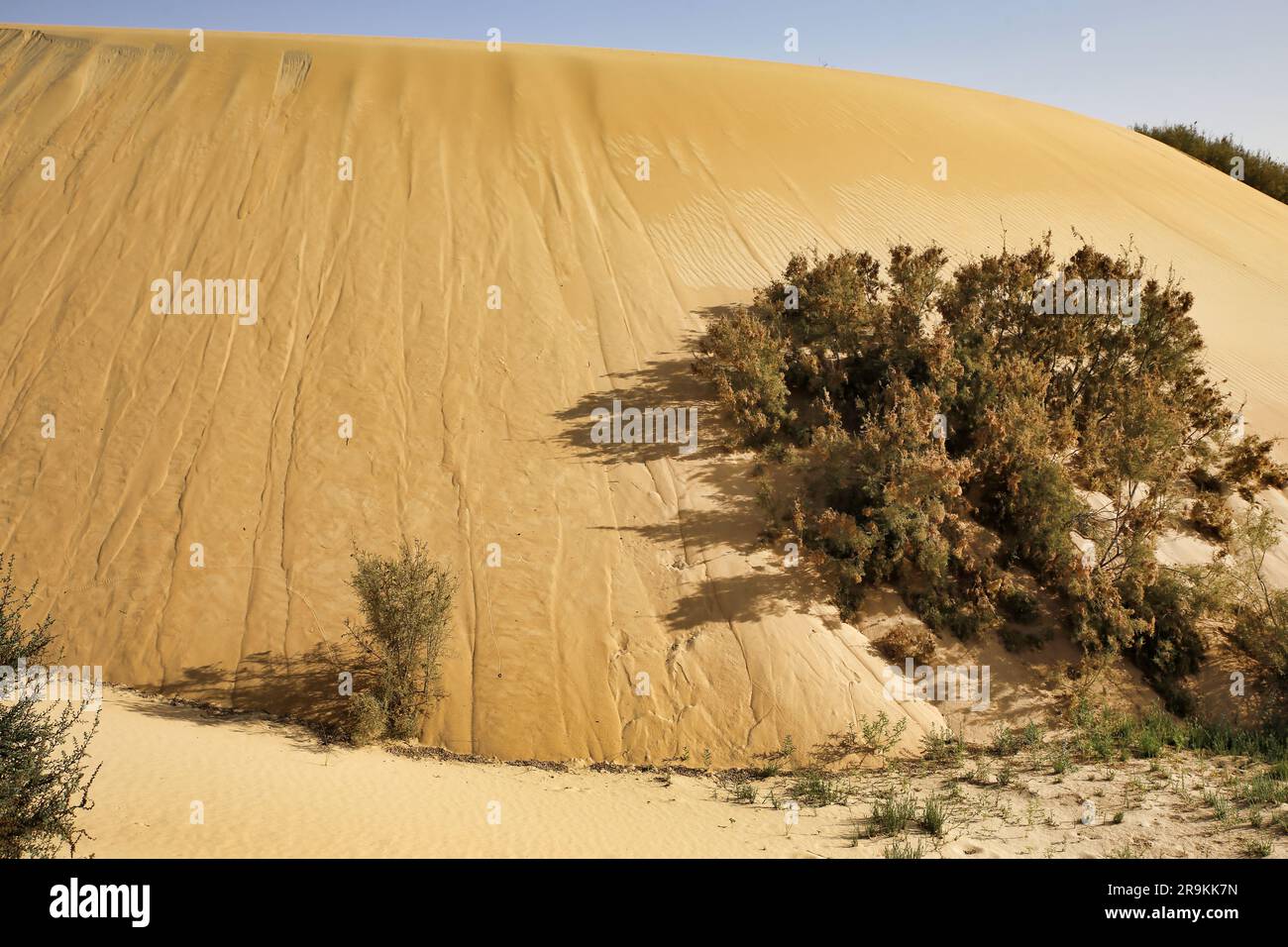 Desert Sand Pattern at Abqaiq Dammam Saudi Arabia. Stock Photo