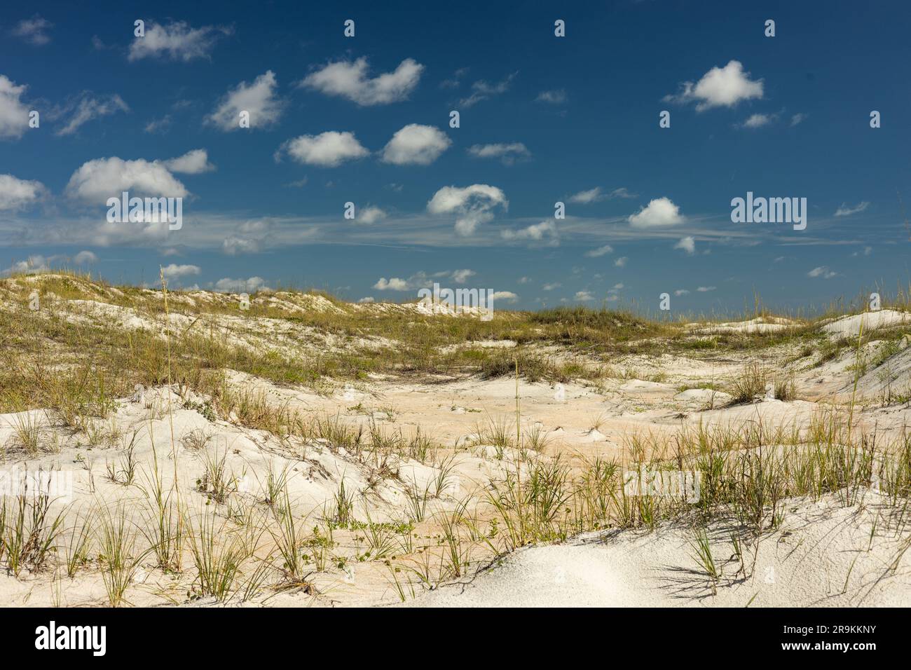 Anastasia Island Beach Dunes Hi res Stock Photography And Images Alamy