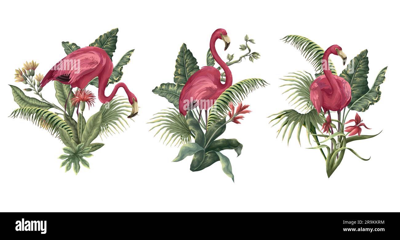 Flamingos and tropical leaves isolated. Vector Stock Vector Image & Art ...