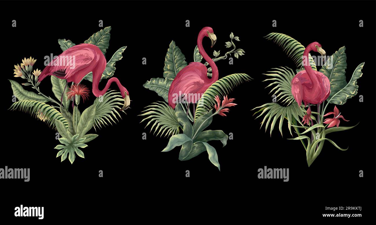 Flamingos and tropical leaves isolated. Vector Stock Vector Image & Art ...