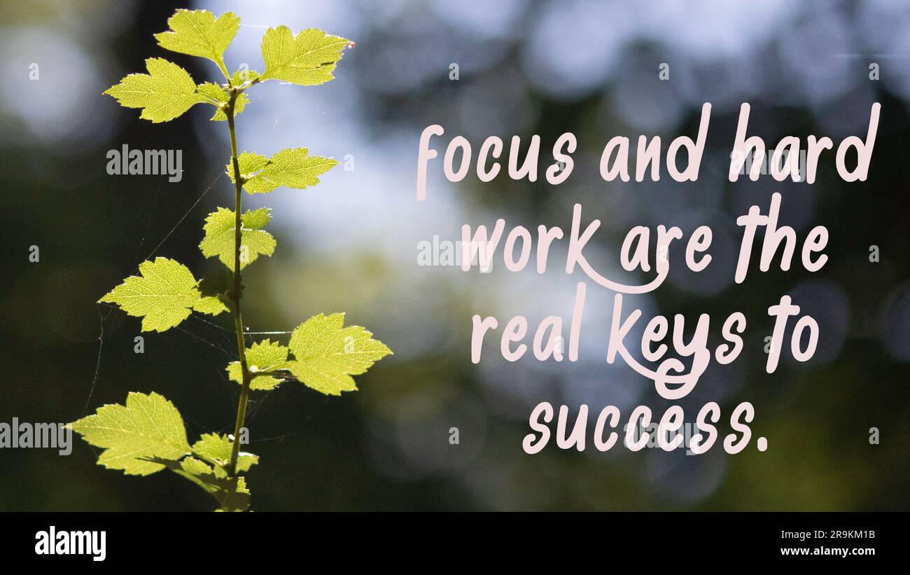 Focus and hard work are the real keys to success. success slogans Stock ...