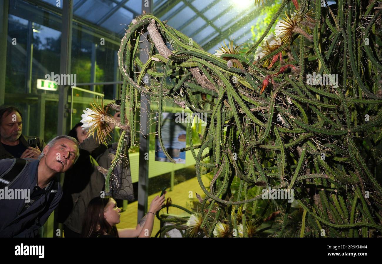 Leipzig, Germany. 27th June, 2023. Visitors to the greenhouse of the Botanical Garden of the