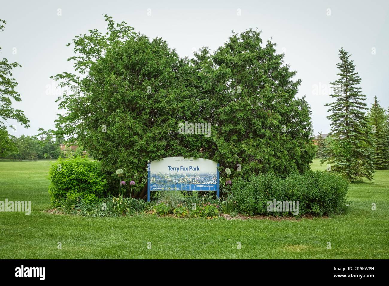 Terry fox park, in memory of Canadian athlete, humanitarian and cancer