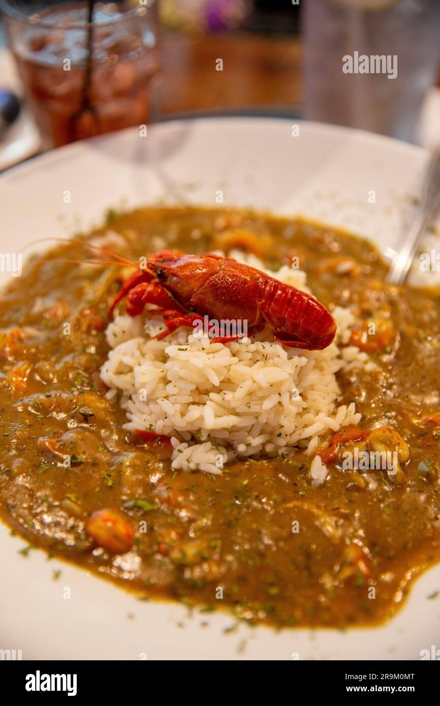cajun crawfish etouffee served and plated garnished with a crawfish
