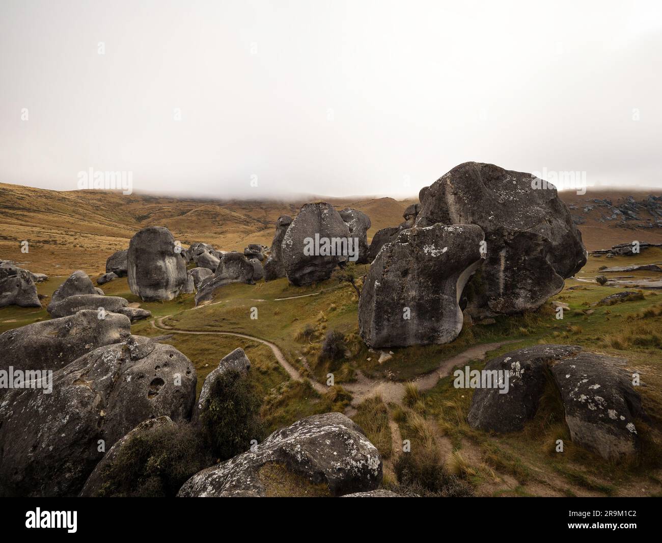 Nature landscape panorama view of large limestone boulder rocks in dry  grass vegetation at Castle Hill countryside park in Canterbury South Island  New Stock Photo - Alamy, image size:1300x1065