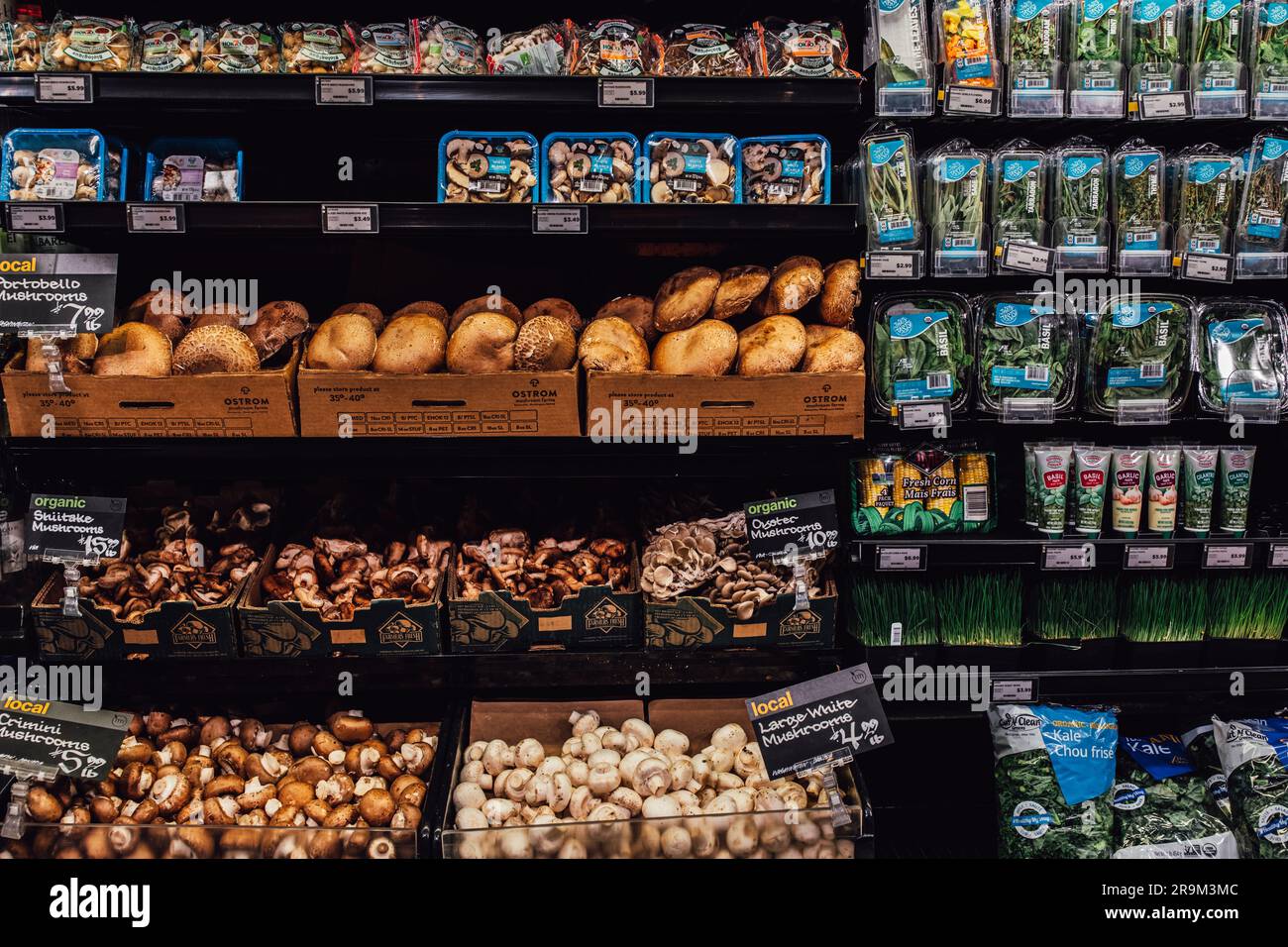 Mushrooms and herbs on shelves at Metropolitan Market upscale grocery store in Seattle, WA Stock Photo