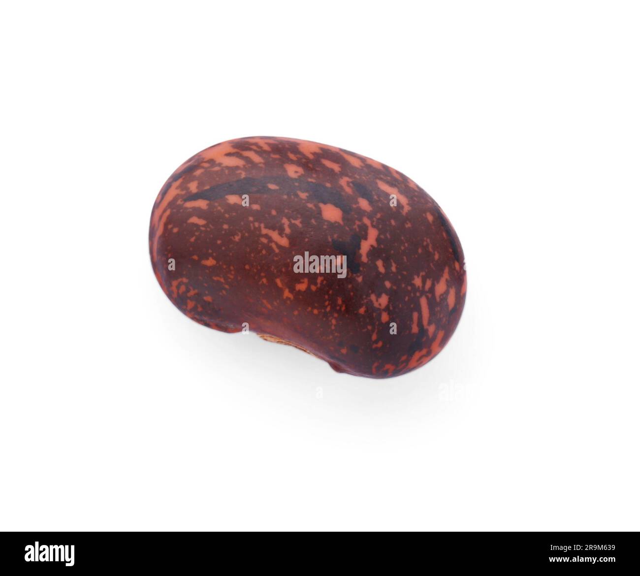 Dry kidney bean isolated on white, top view Stock Photo Alamy