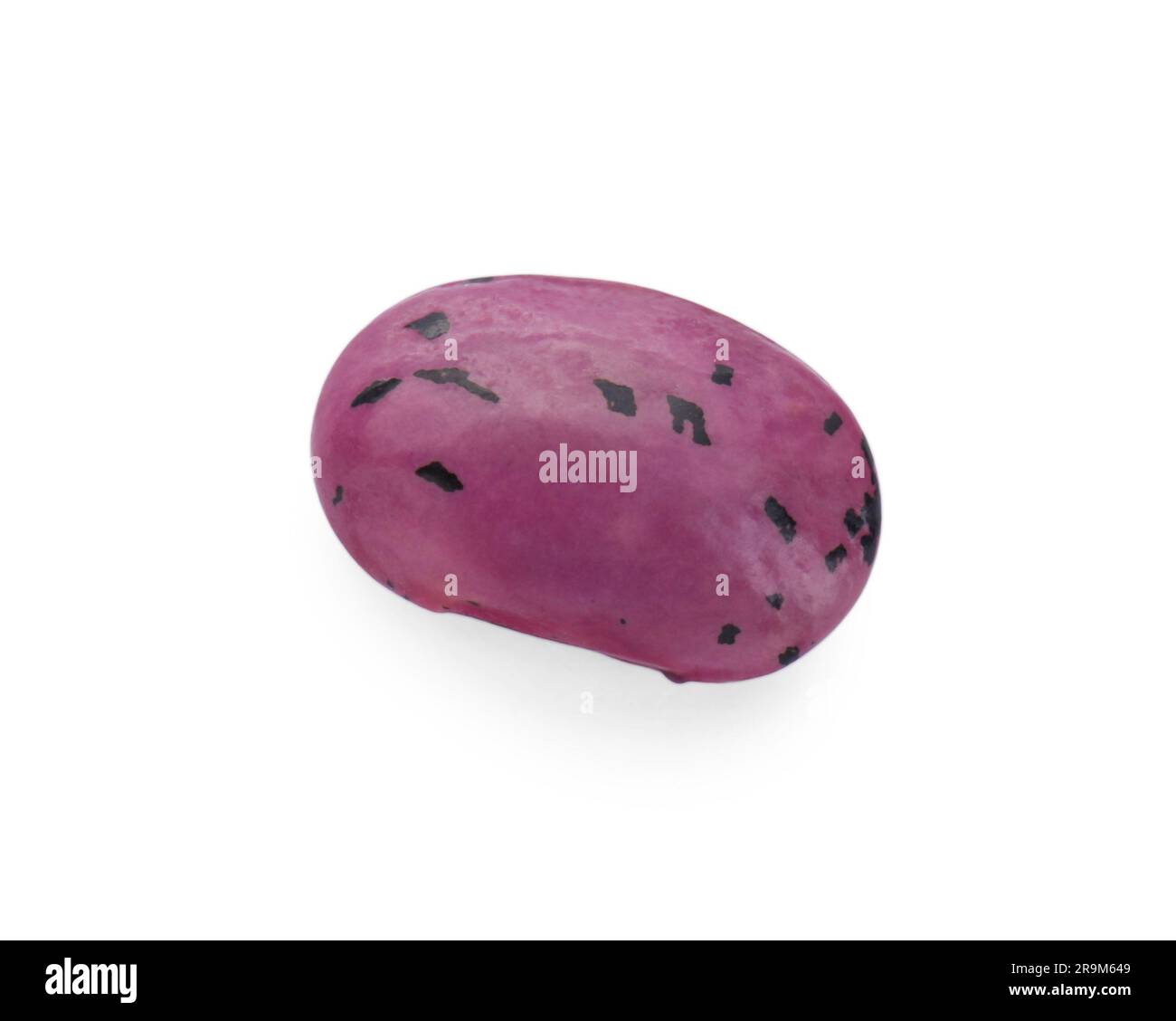 Dry kidney bean isolated on white, top view Stock Photo - Alamy