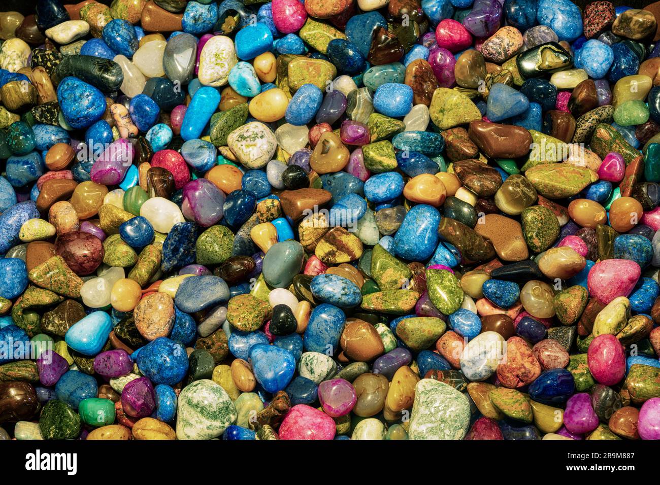 Picking up rocks stones hi-res stock photography and images - Alamy
