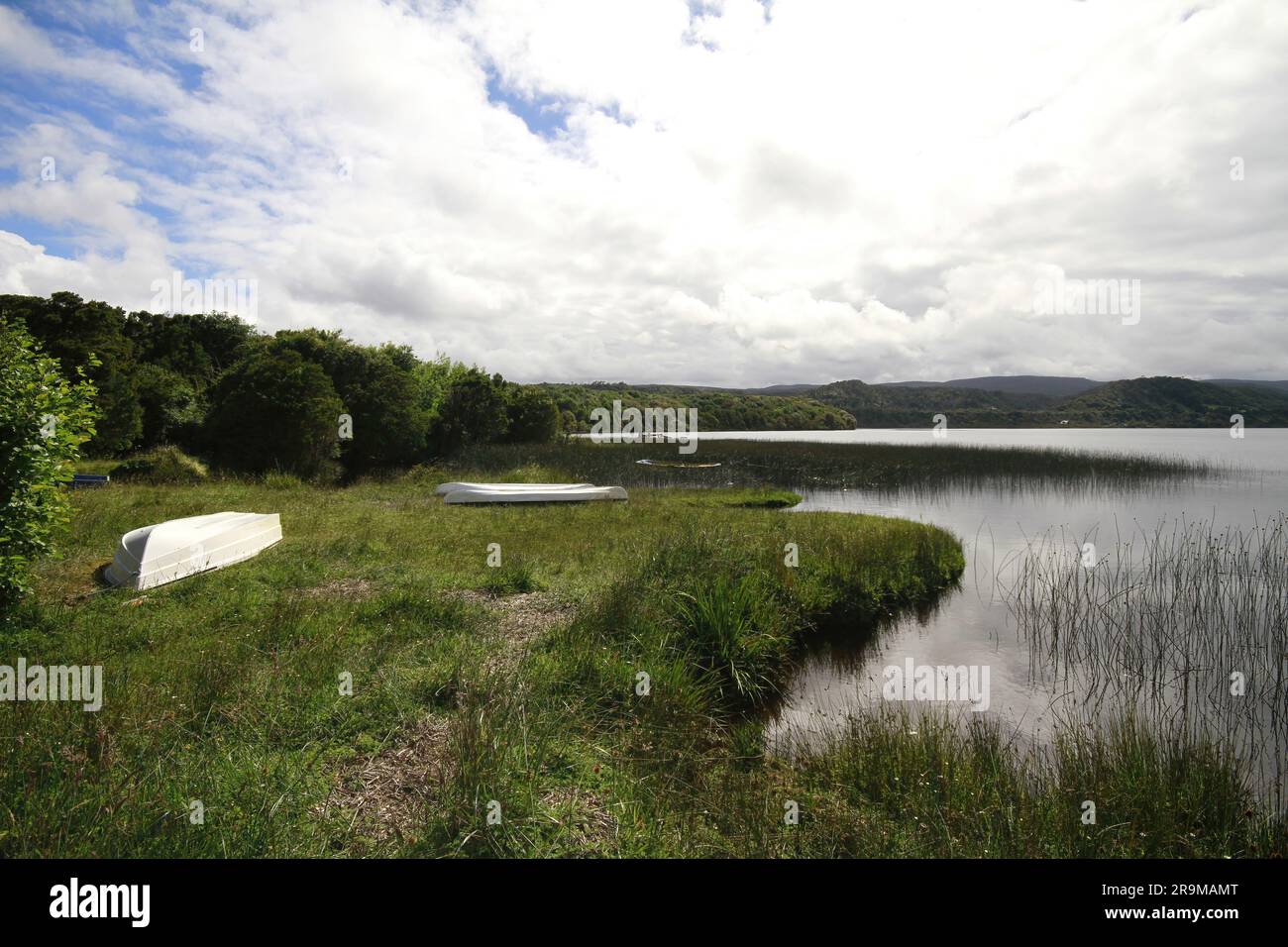 Parque nacional chiloe chile hi-res stock photography and images - Alamy