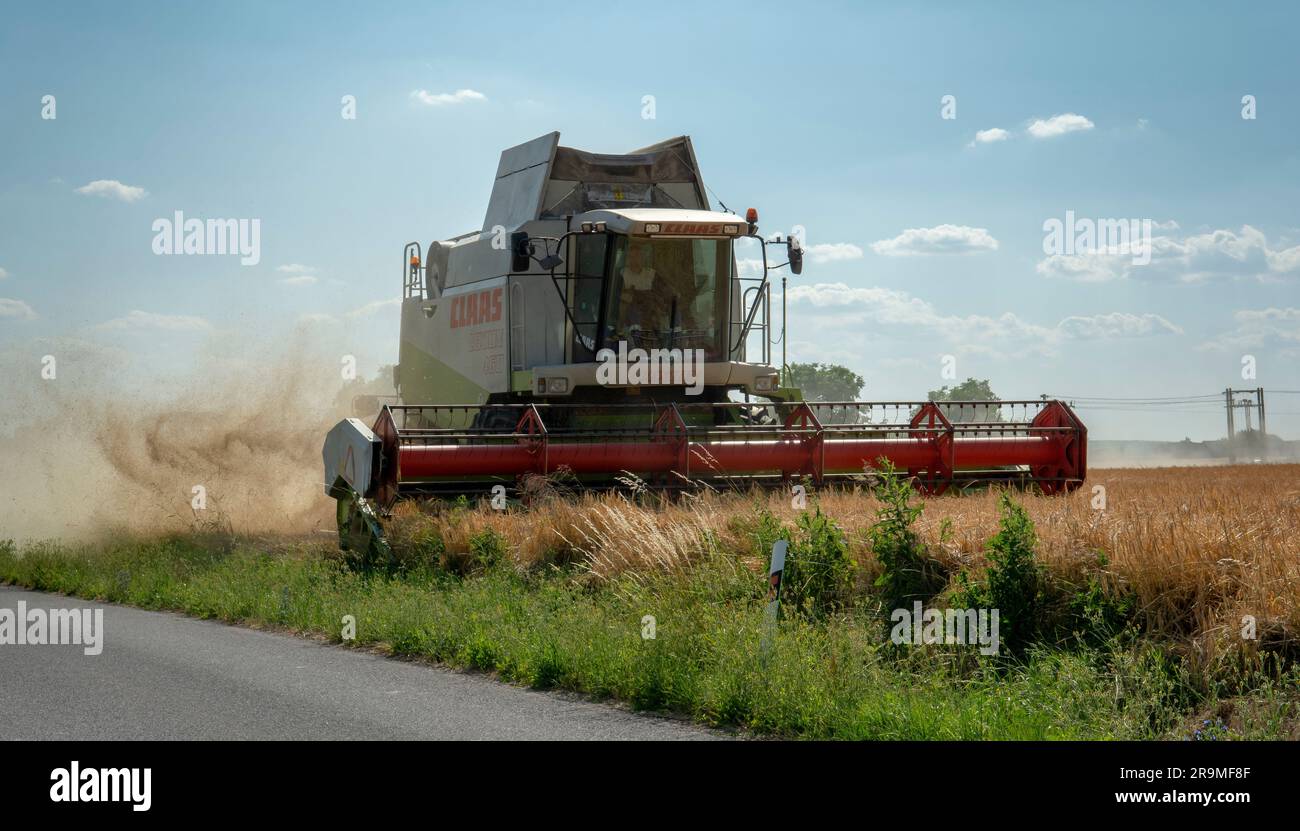 Volkovce, Slovakia - June, 26, 2023 : The modern combine harvester harvesting ripe wheat grains. Agricultural machinery. Stock Photo
