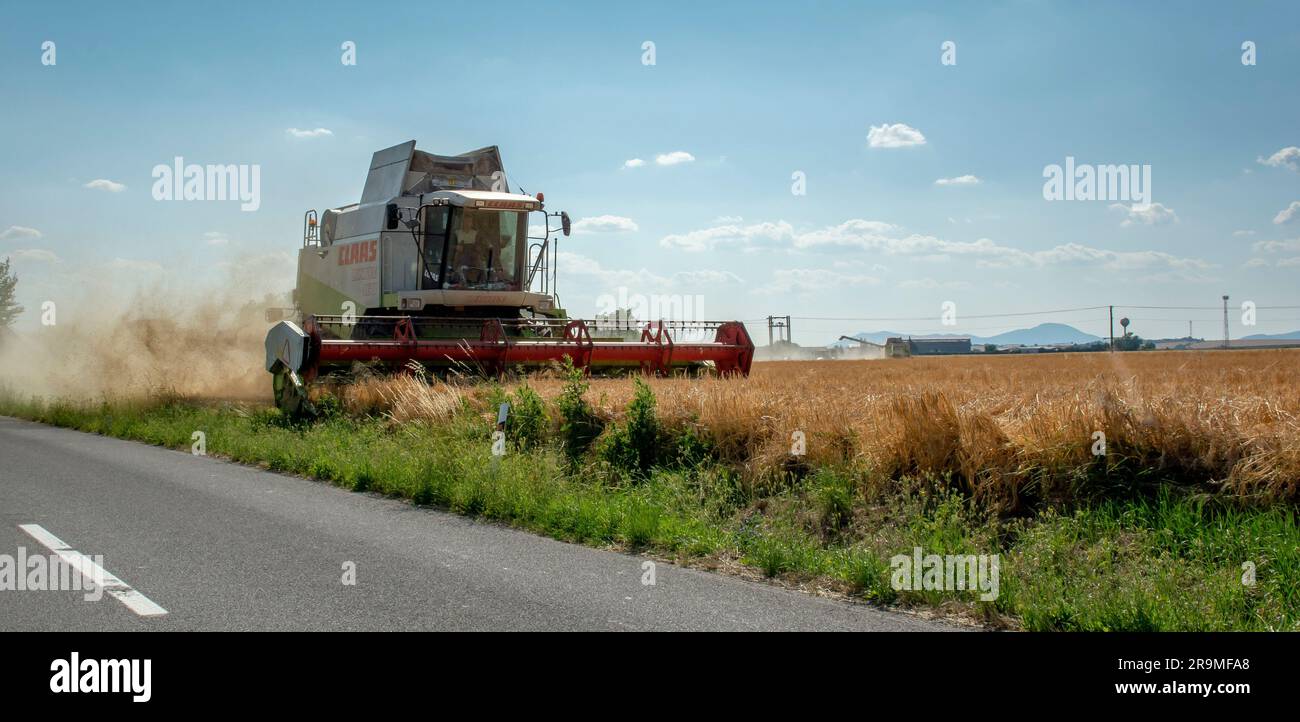 Volkovce, Slovakia - June, 26, 2023 : The modern combine harvester harvesting ripe wheat grains. Agricultural machinery. Stock Photo