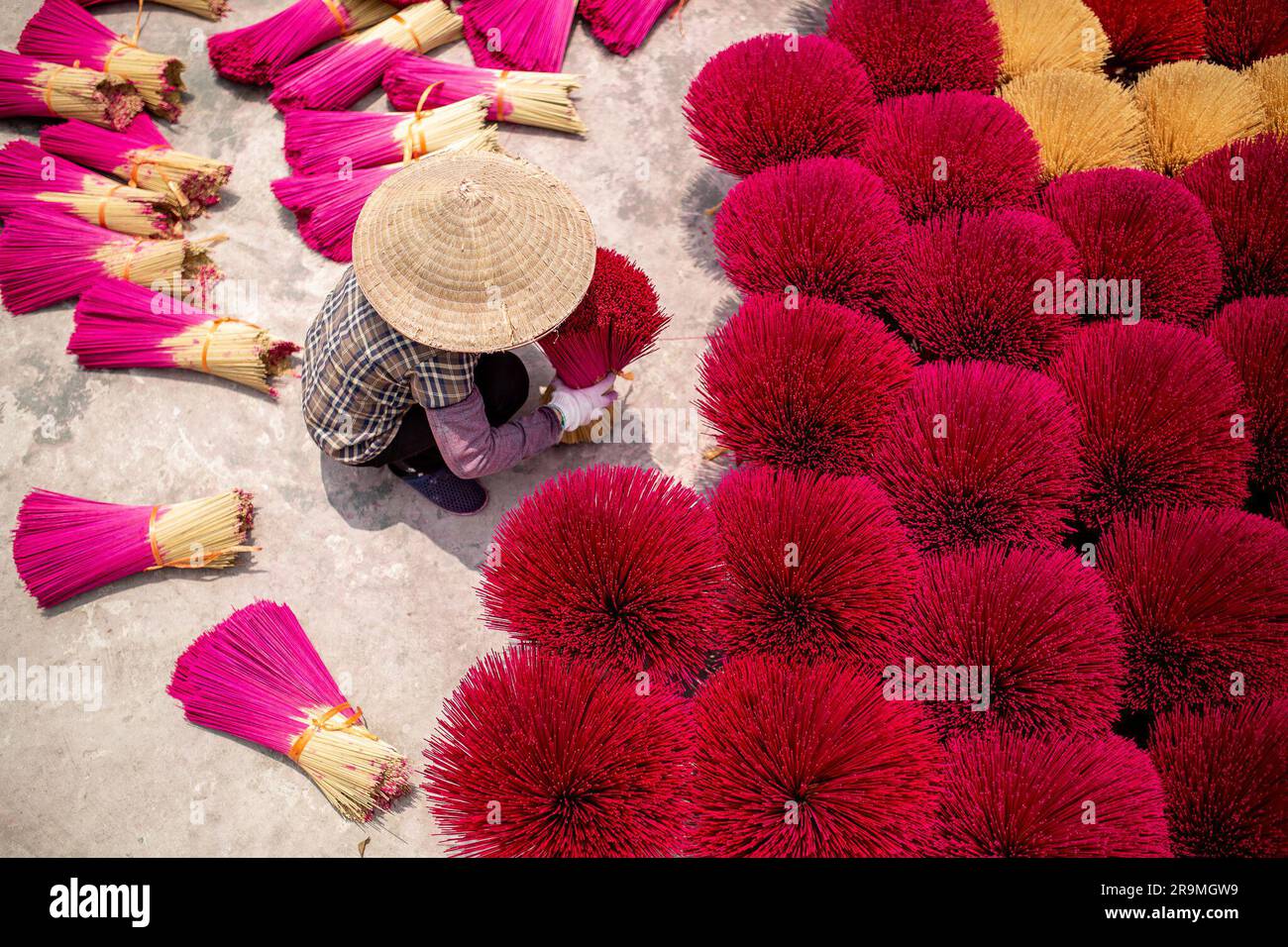 Quang Phu Cau, Vietnam. 07th June, 2023. A worker carefully collects a bundle of incense before placing it in the sun to dry. Incense is experiencing a worldwide boom - not only in Asian temples, but also in yoga studios from Buenos Aires to Berlin. Often, they are mass-produced goods. But in Vietnam, an entire village is dedicated to the craft. (to dpa 'A sea of incense sticks: A visit to Vietnam's 'Incense Village') Credit: Chris Humphrey/-/dpa/Alamy Live News Stock Photo